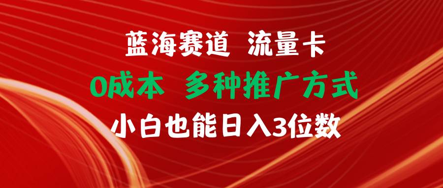 蓝海赛道 流量卡 0成本 小白也能日入三位数-行行副业