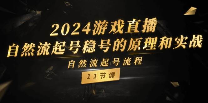 2024游戏直播-自然流起号稳号的原理和实战，自然流起号流程（11节）-行行副业