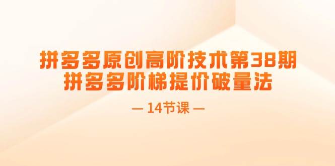 拼多多原创高阶技术第38期，拼多多阶梯提价破量法（14节课）-行行副业