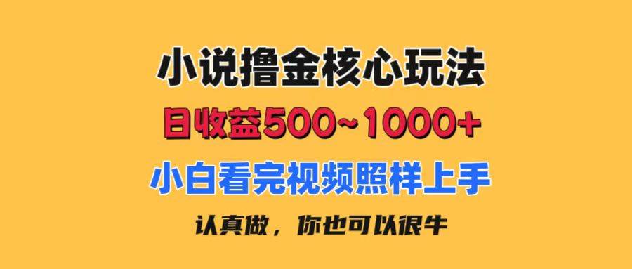 小说撸金核心玩法，日收益500-1000+，小白看完照样上手，0成本有手就行-行行副业