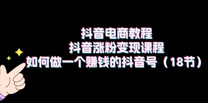 抖音电商教程：抖音涨粉变现课程：如何做一个赚钱的抖音号（18节）-行行副业