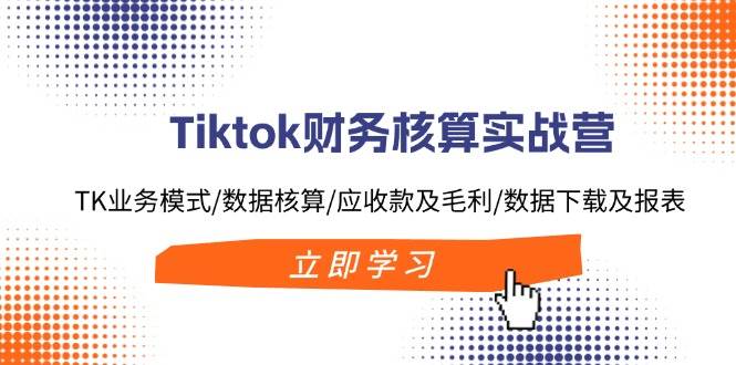 Tiktok财务核算实战营：TK业务模式/数据核算/应收款及毛利/数据下载及报表-行行副业