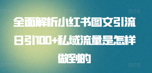 全面解析小红书图文引流日引100私域流量是怎样做到的-行行副业