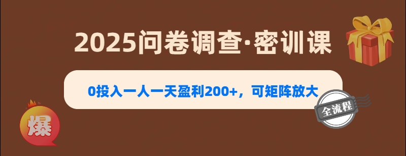 2025《问卷调查》0投入一人一天盈利200+，可矩阵放大-行行副业