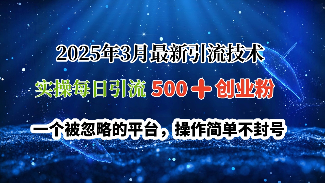 2025年3月最新引流技术，实操每日引流500➕创业粉，一个被忽略的平台，操作简单不封号-行行副业