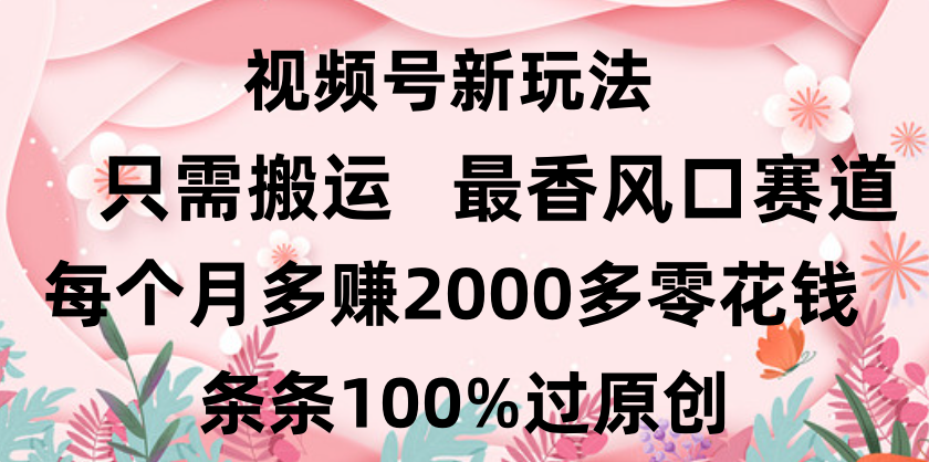 日入2000+，条条100%过原创，视频号最香风口赛道，小白轻松上手-行行副业
