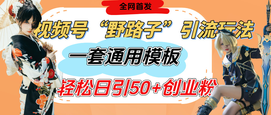 视频号“野路子”玩法，评论区疯狂截流，一套模板单日单号引流50+创业粉-行行副业