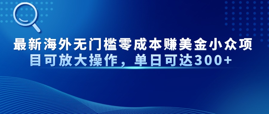 最新海外无门槛美金小众项目可放大操作，单日可达300+-行行副业
