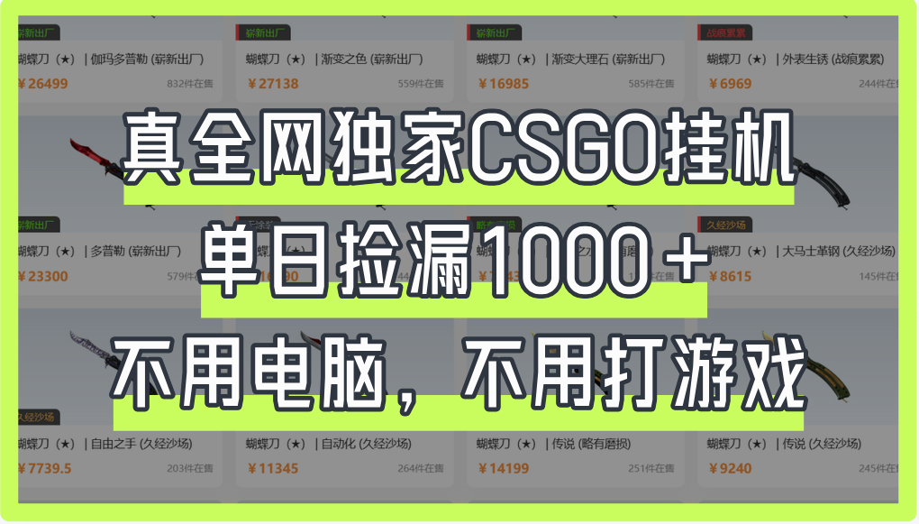 真全网独家CSGO挂机，单日捡漏1000+-行行副业
