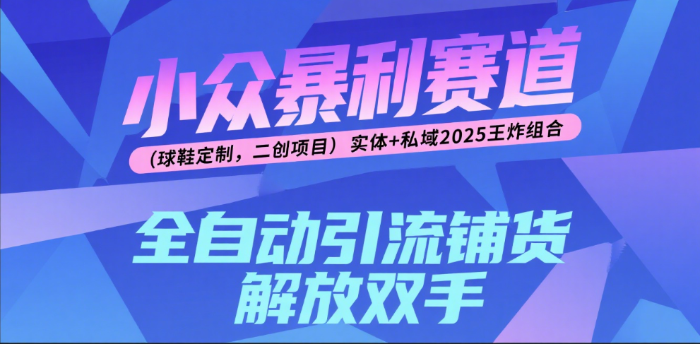 楠—小众暴利赛道（球鞋定制，二创项目）实体+私域2025王炸组合-行行副业