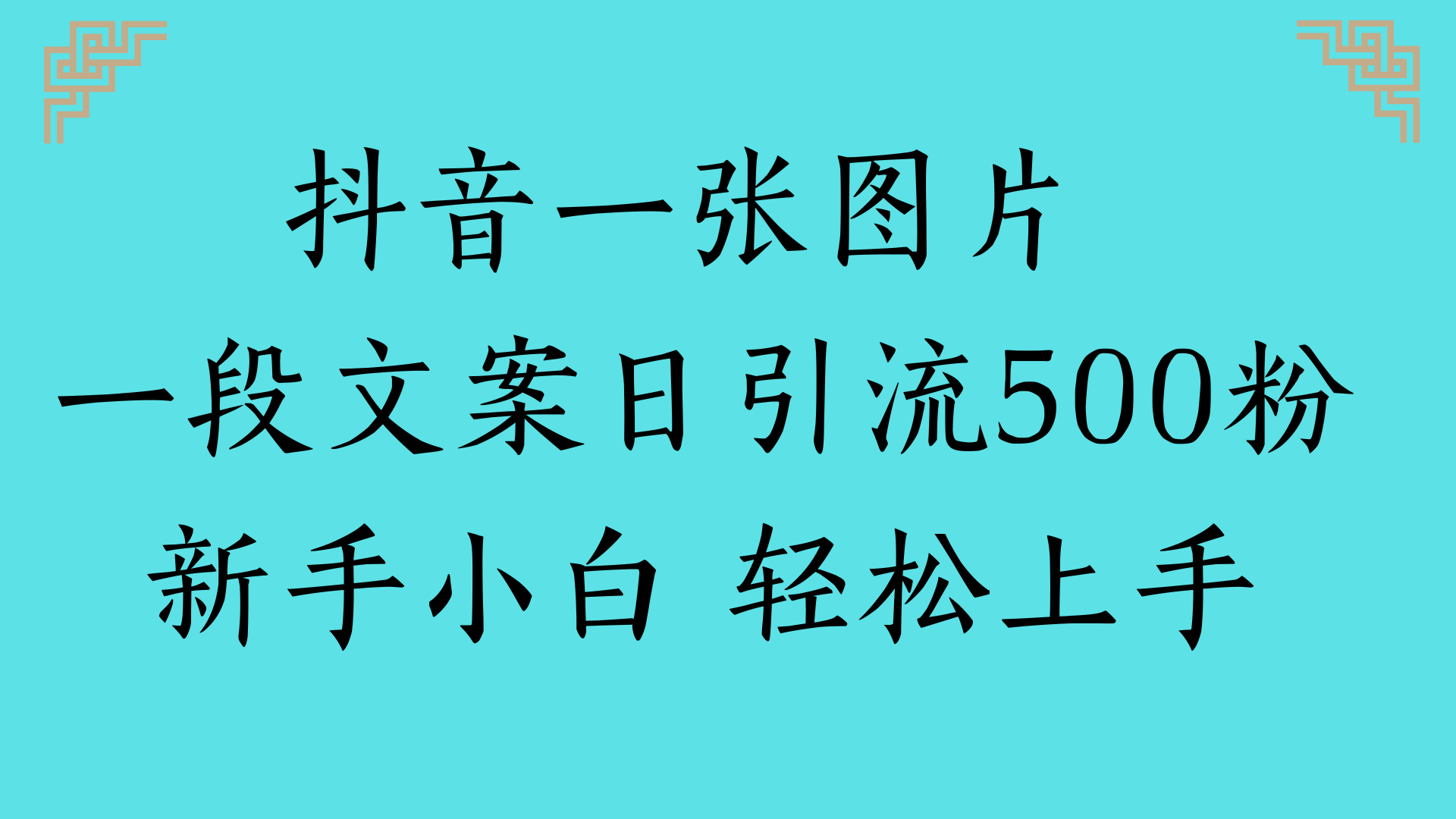 抖音一张图片 一段文案日引流500粉新手小白 轻松上手-行行副业