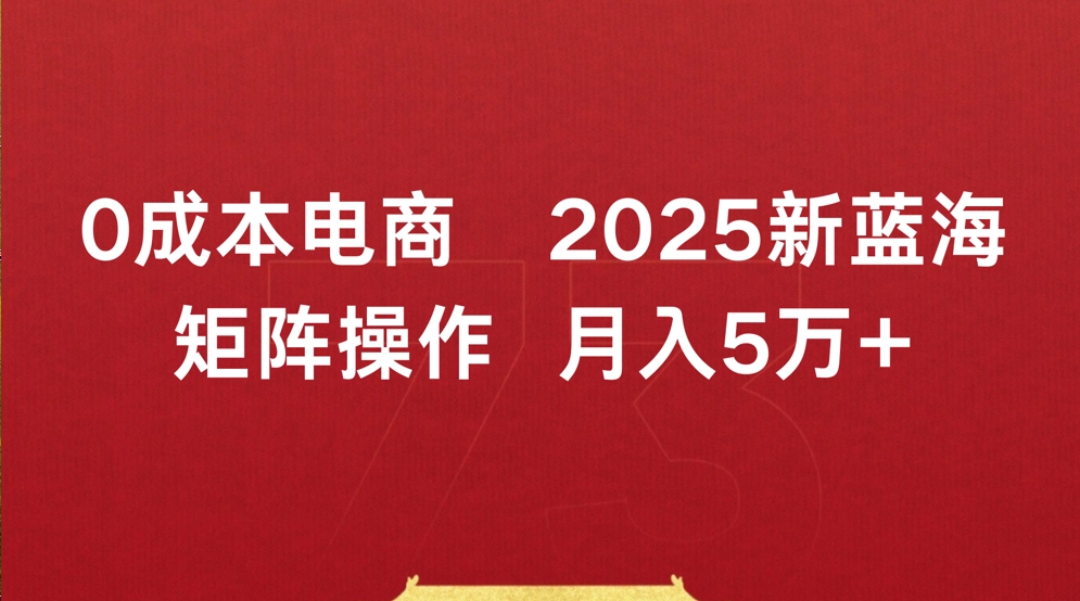0成本电商2025新蓝海矩阵操作 月入5万+-行行副业