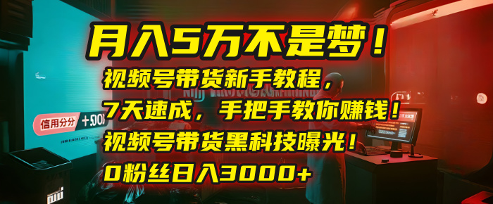 月入5万不是梦！视频号带货新手教程，7天速成，手把手教你赚钱！视频号带货黑科技曝光！0粉丝日入3000+-行行副业
