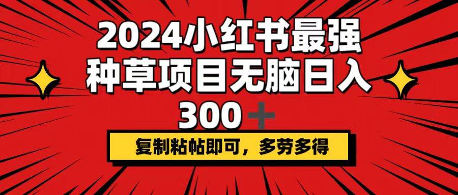 2024小红书最强种草项目，无脑日入300+，复制粘帖即可，多劳多得-行行副业